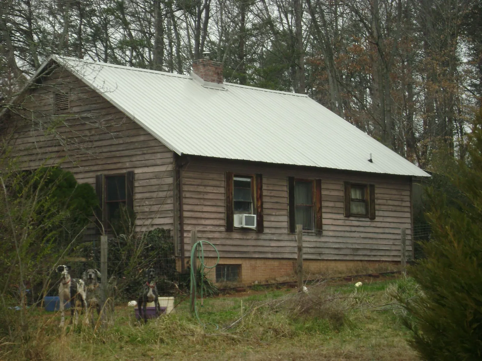 White metal roof on an old wood sided farmhouse, from a Asphalt Shingle Roof Repair job in Sugar City
